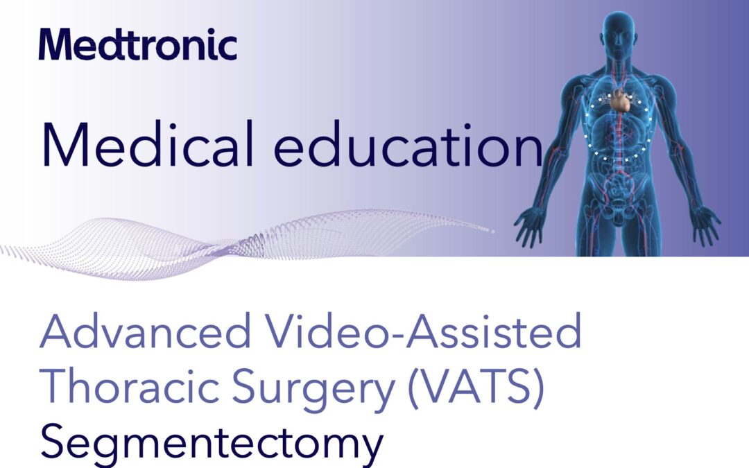 Advanced VATS Segmentectomy Workshop