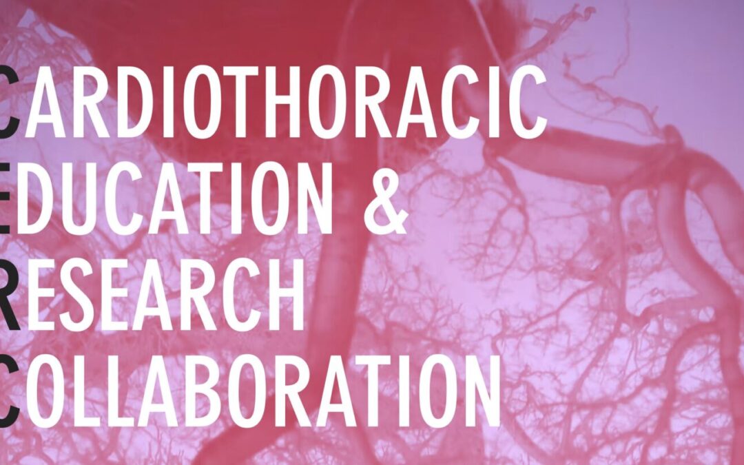 CERC 08: Cardiac Implanted Electronic Devices